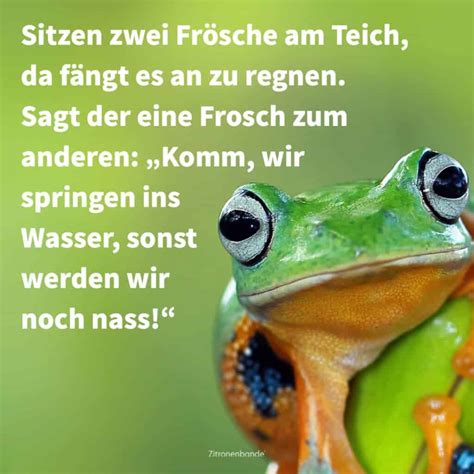 frauen witzige bilder|lustige bilder für erwachsene.